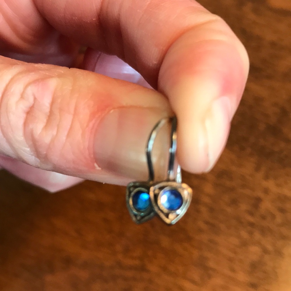 Small blue earrings